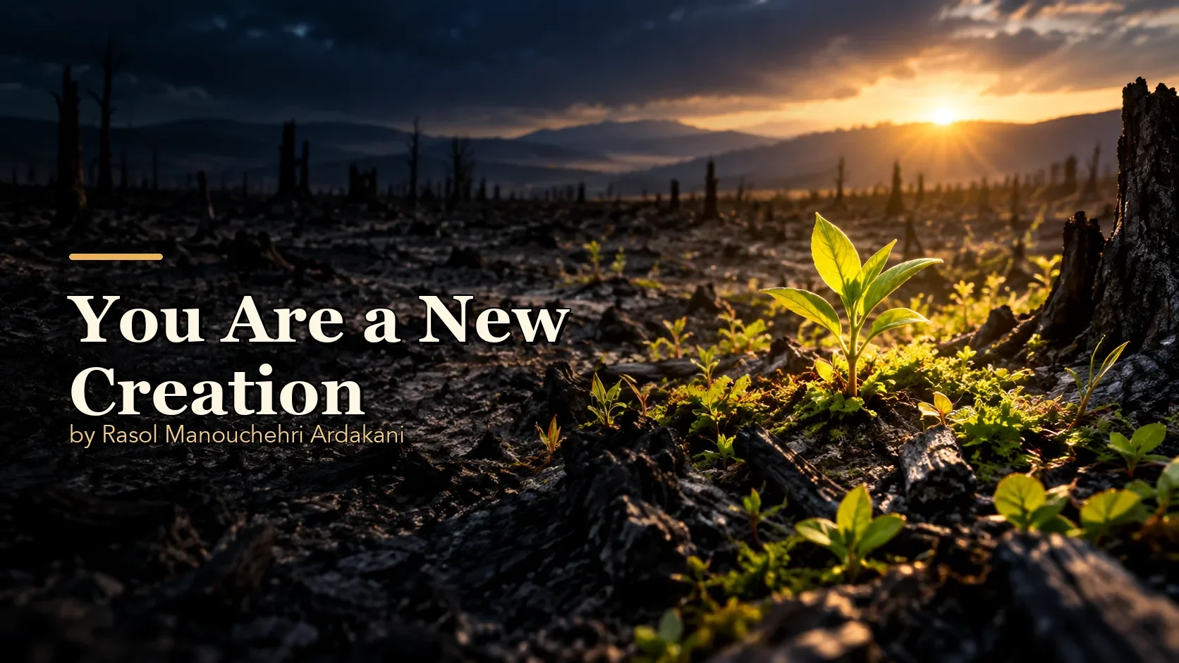 You Are a New Creation