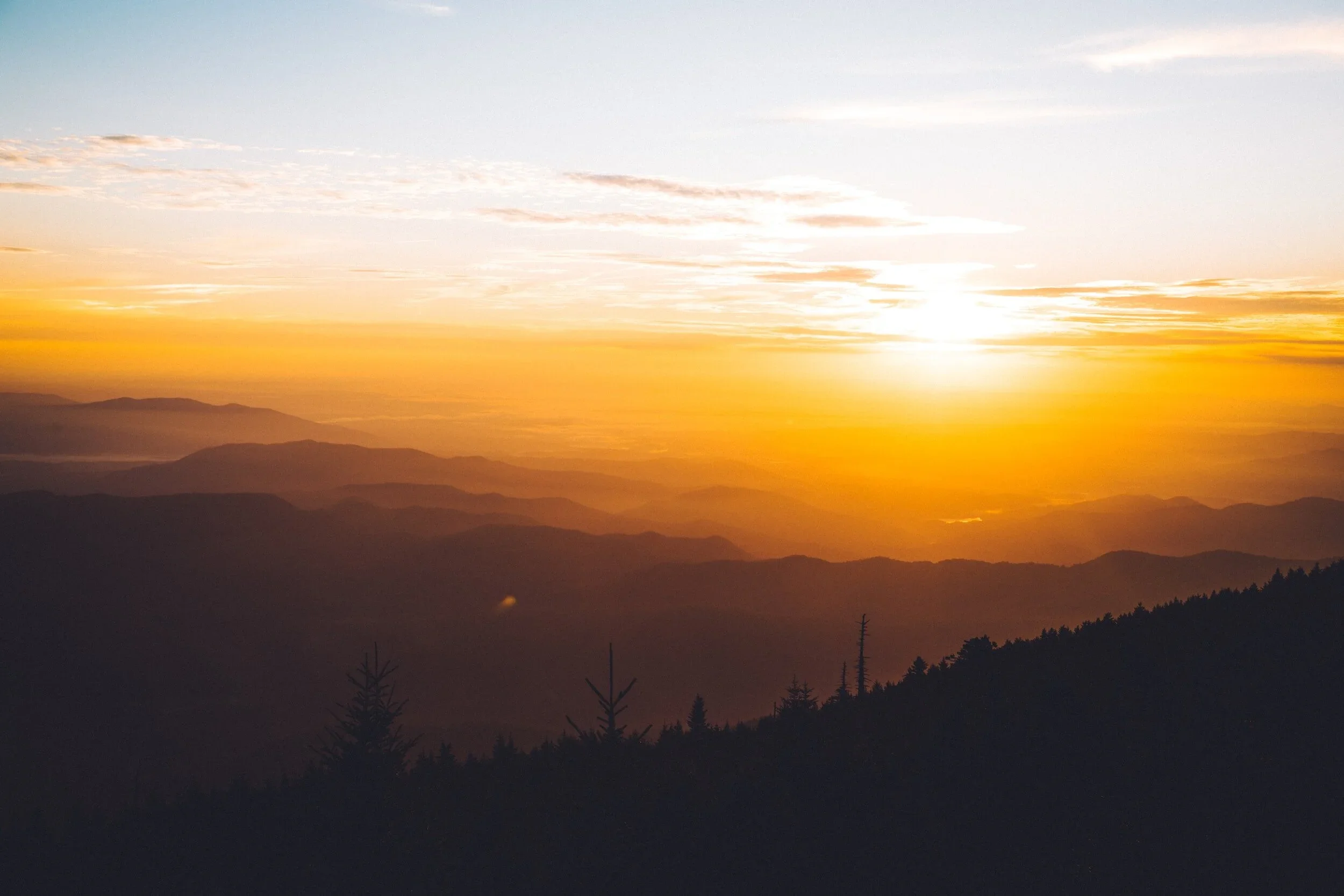 Day 19: Embracing The Fruit of The Spirit