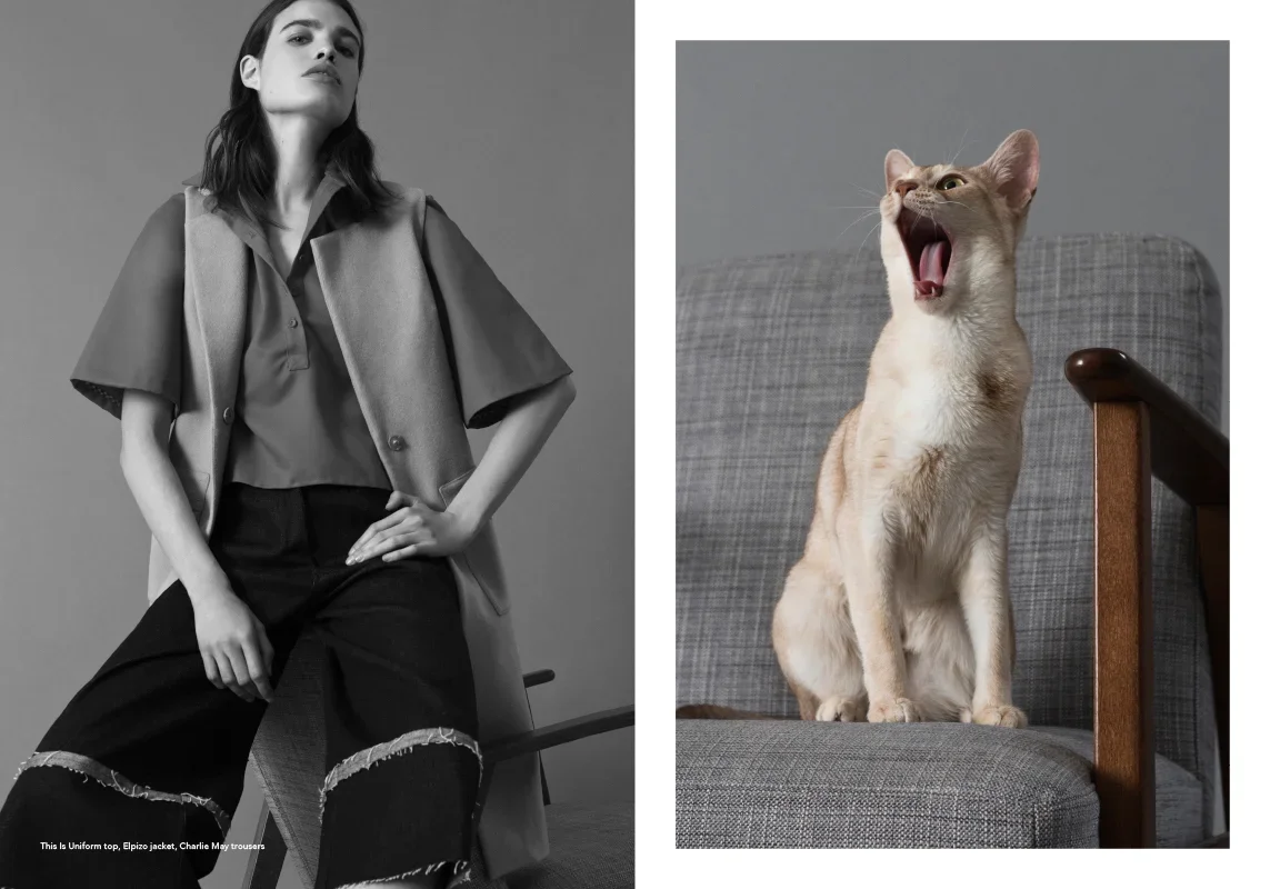 catscoats_bw-33 (1).webp