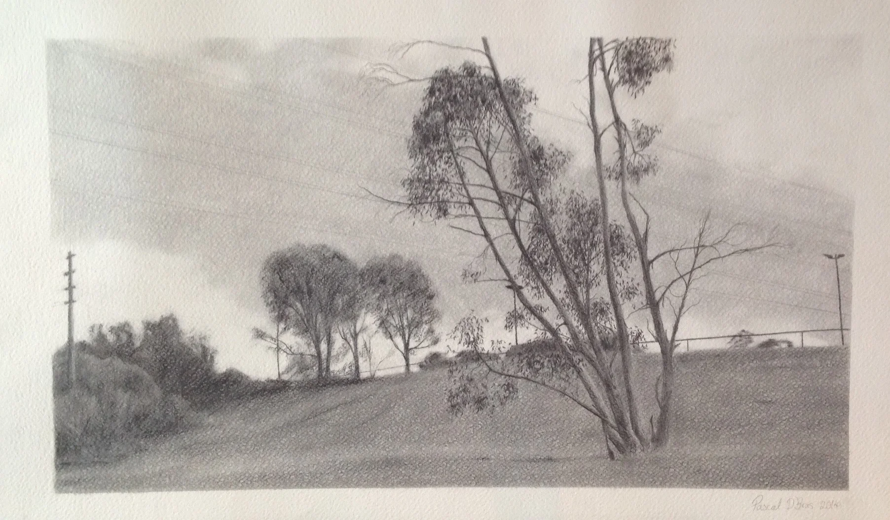 Moreland parklands 2014