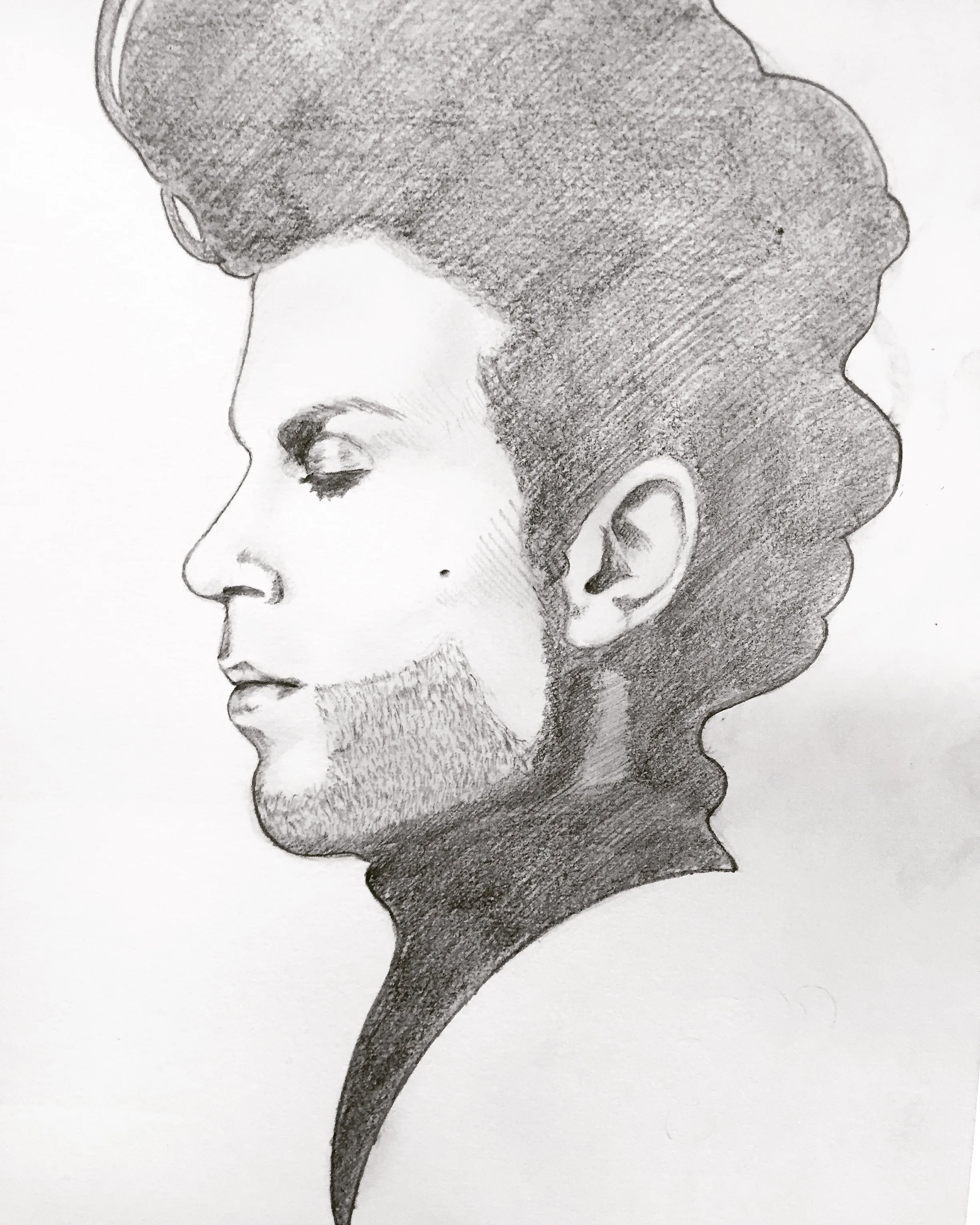 Prince sketch 2014