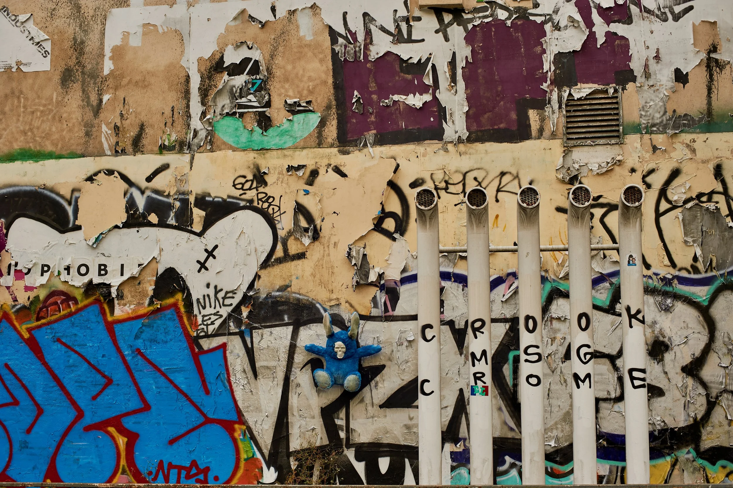 D70_9205.jpeg