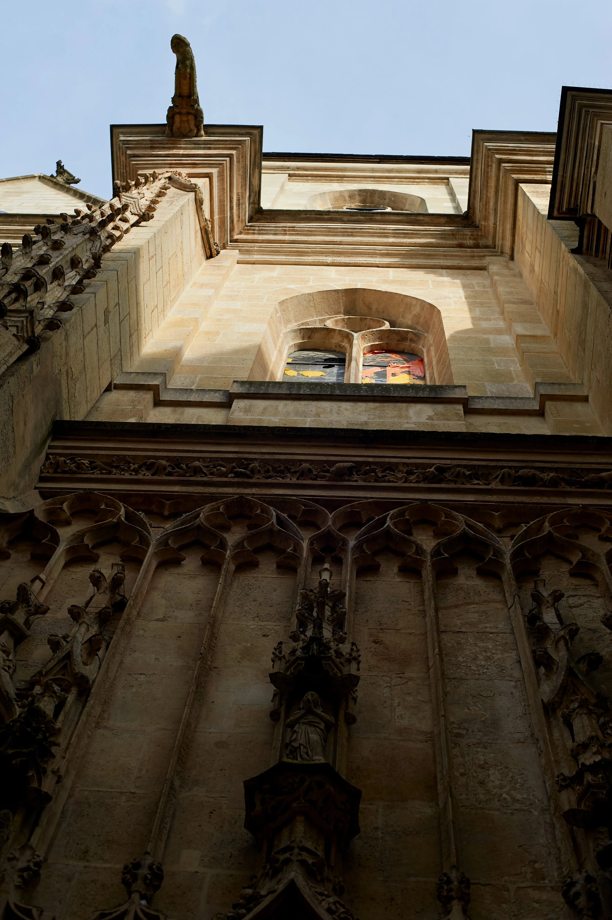 D70_9219.jpeg