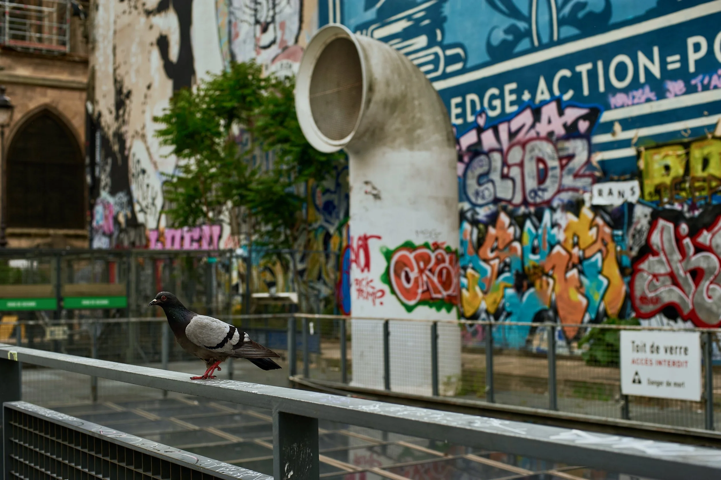 D70_9206.jpeg