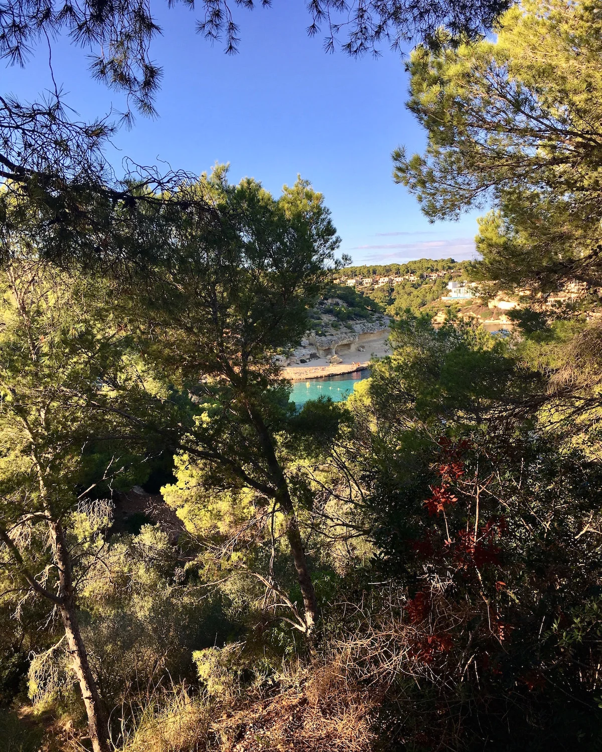 hoiberlin-mallorca.jpg