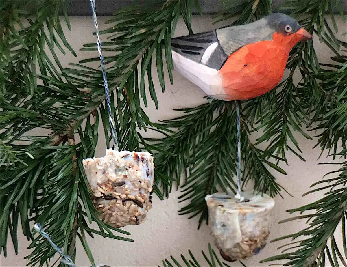 hoiberlin-vogelfutter-ambaum.jpg