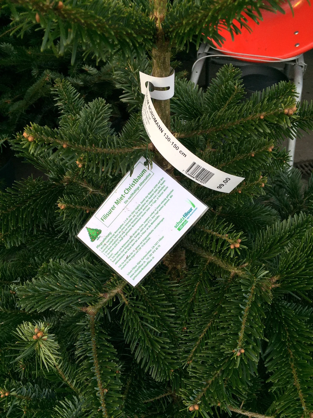 hoiberlin-miet-christbaum.jpg