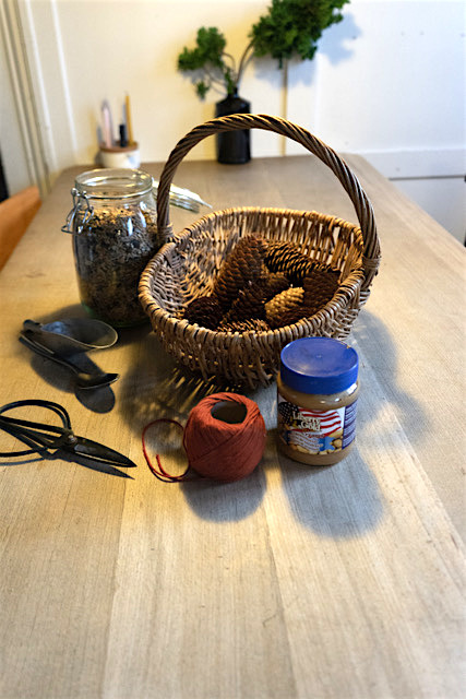 hoiberlin-vogelfutter-diy-by-pianina-1.jpeg