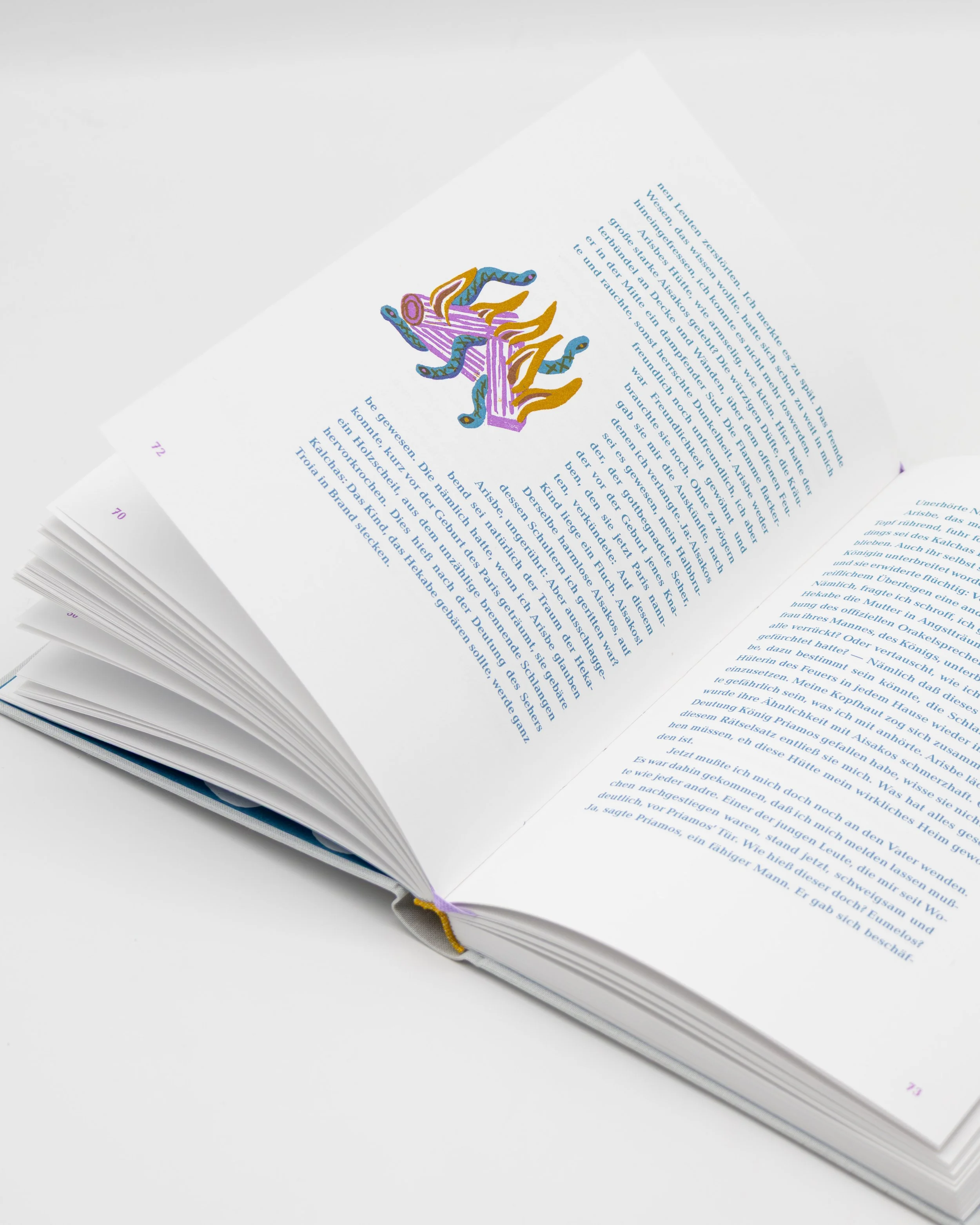 dreifarbige Illustration mit Schlangen und brennendem Holz aus dem Buch Kassandra von Christa Wolf