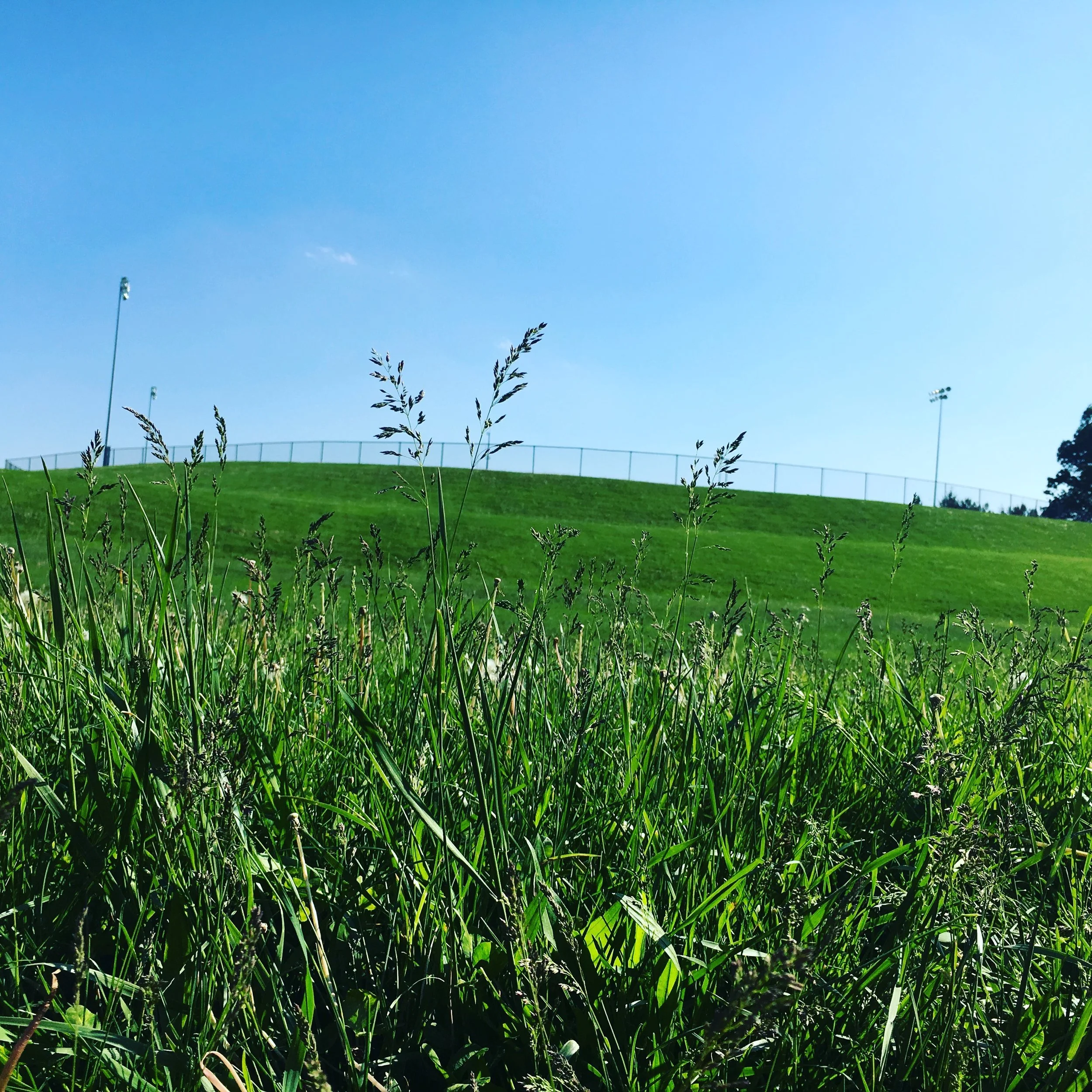 Self Perception vs Reality