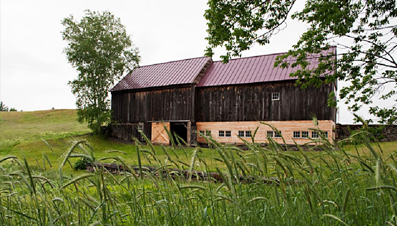 Langwood Farm, Cornish, photo by Kathie Fife Photography