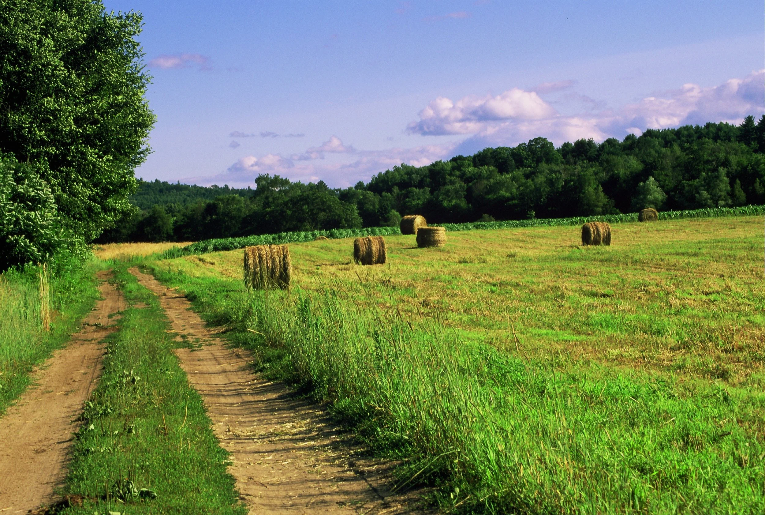 Webster Farm, Franklin