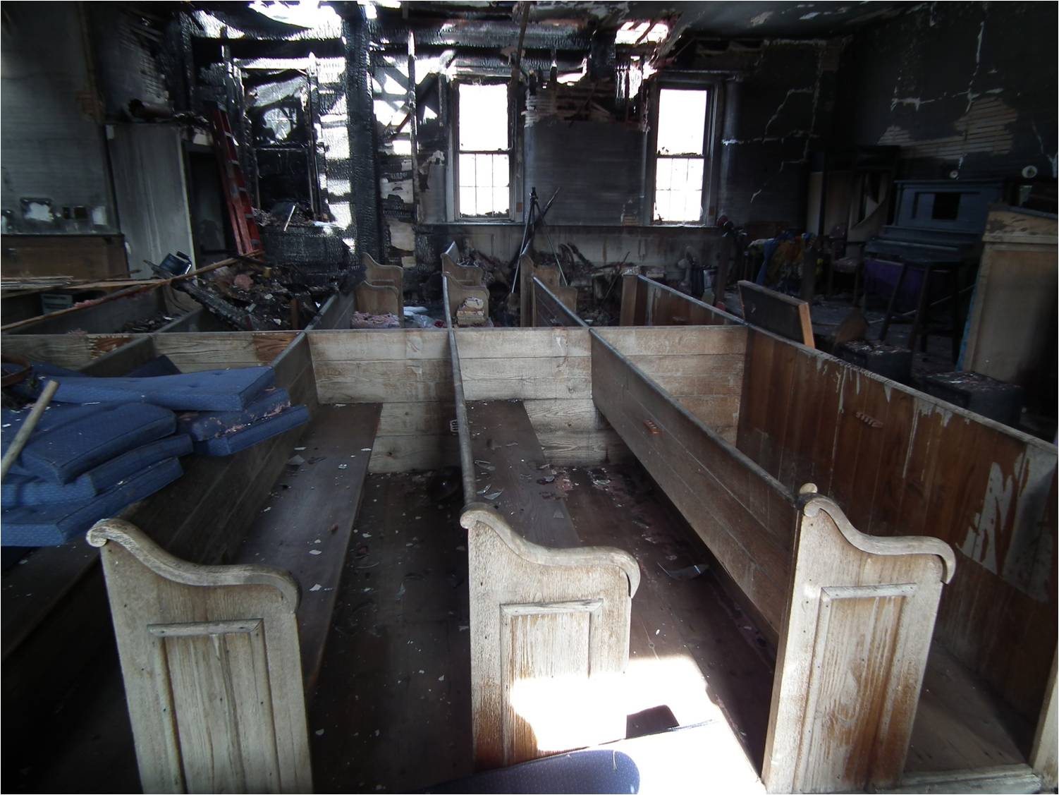 Picture5.jpg