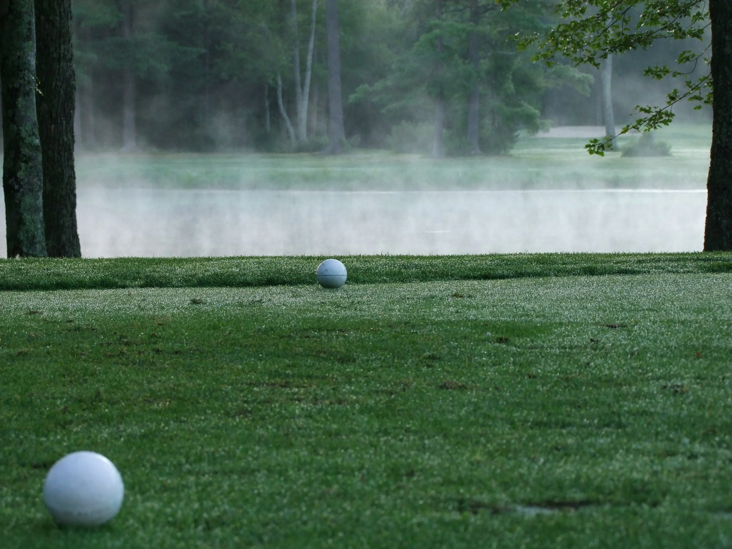 15th white tees to pond fog.JPG