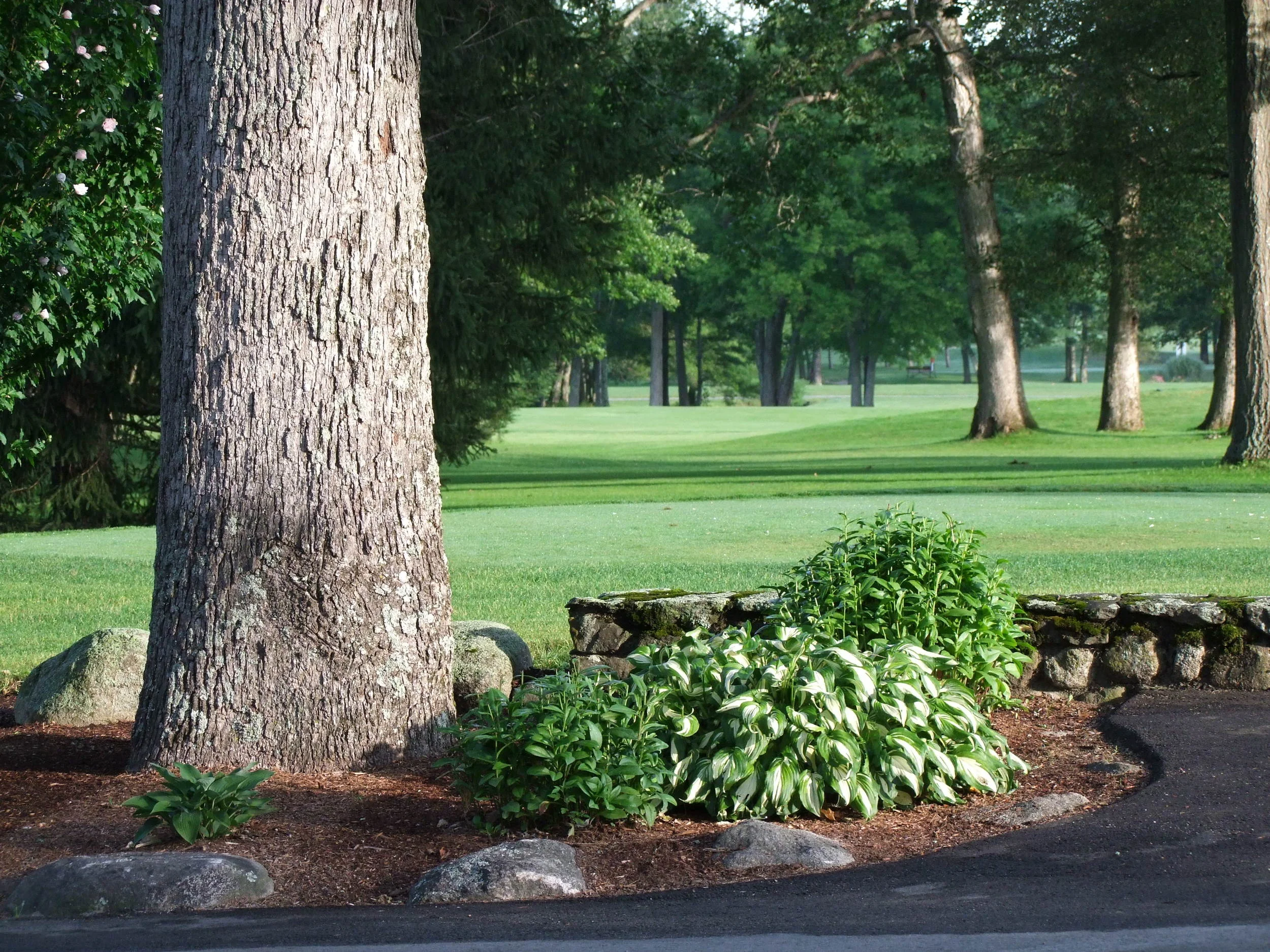 planter at proshop.JPG