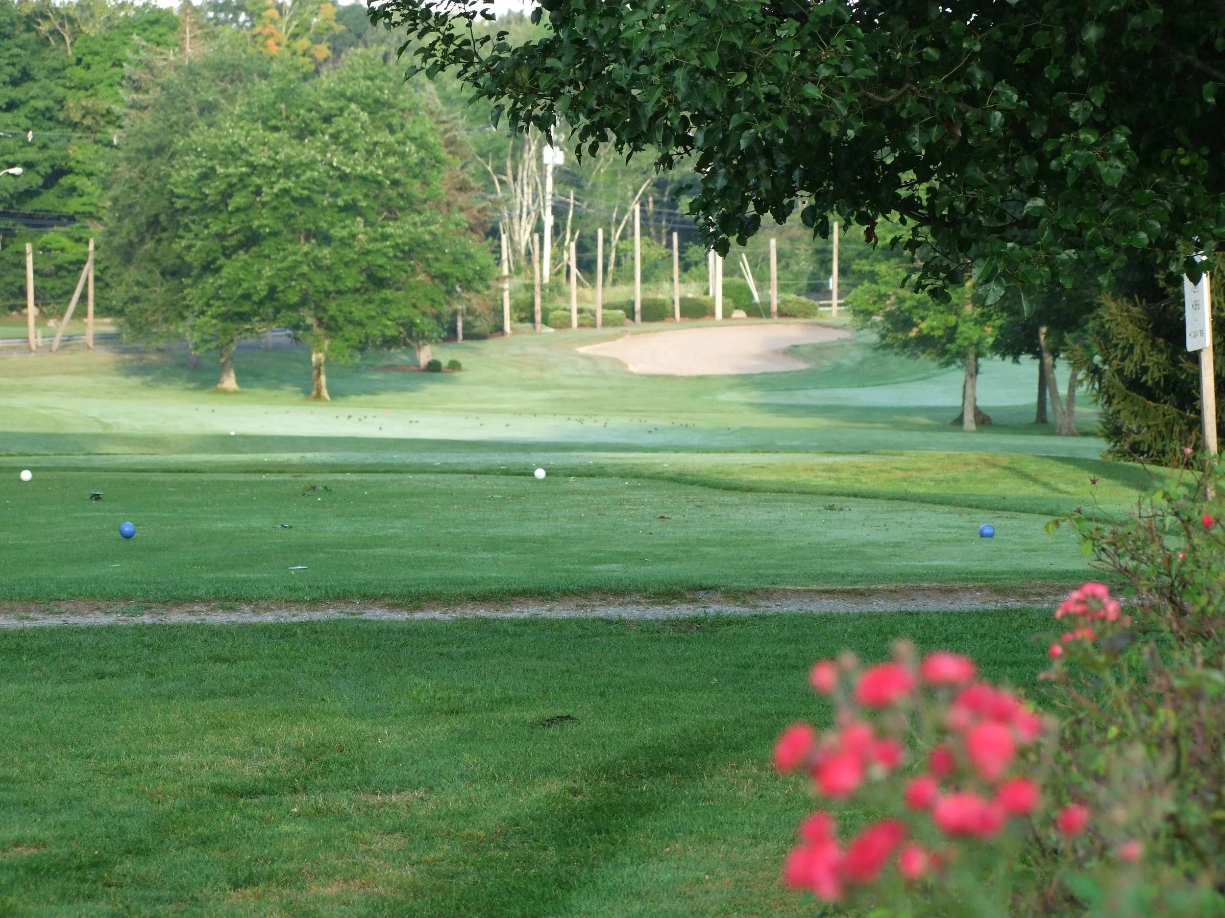 Open to All Levels of Golfers — Ridder Farm Golf Course