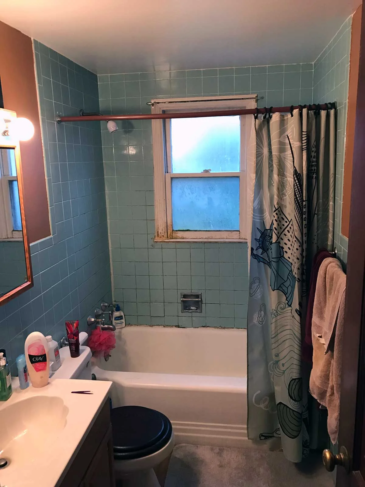 15 Day Bathroom Renovation Before 01