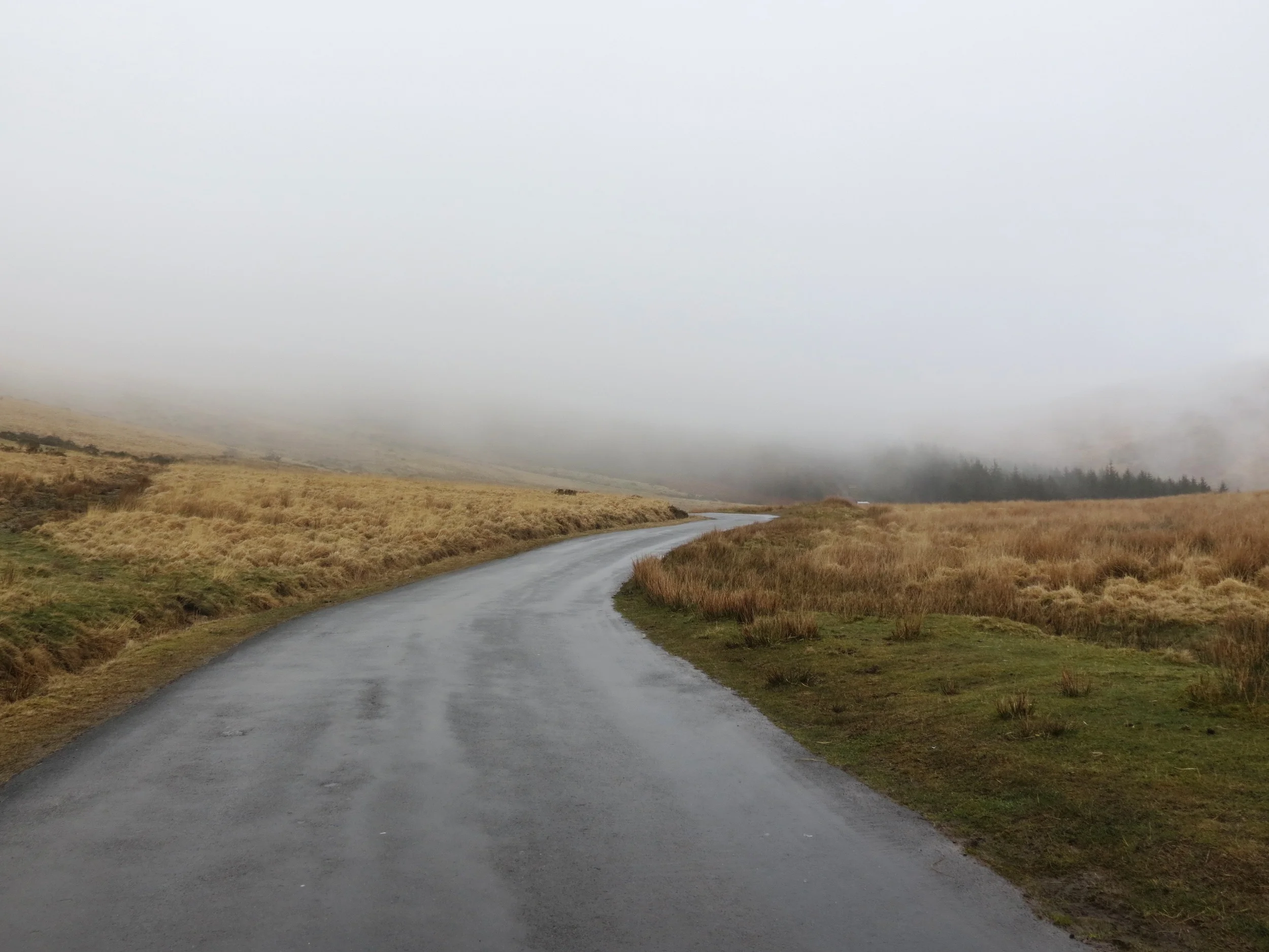 road.jpg