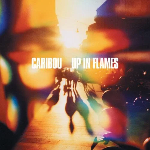 caribou.jpg