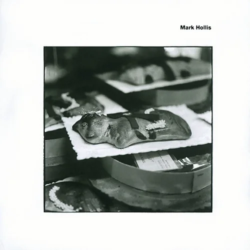 markhollis.jpg
