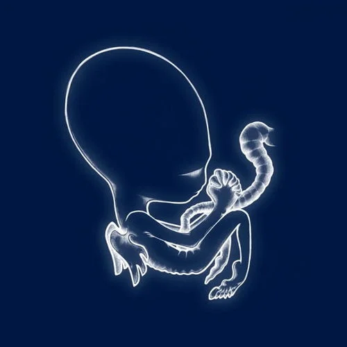 sigurros.jpg