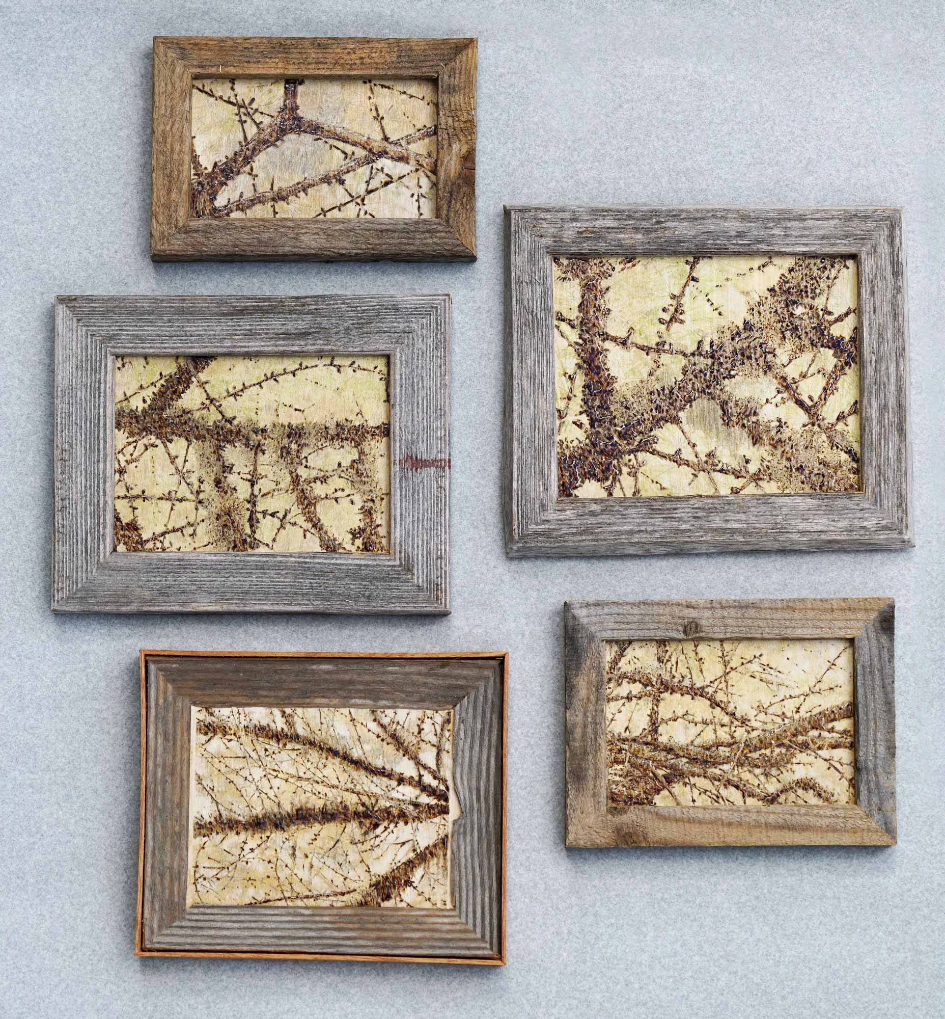 branch_study_web.jpg