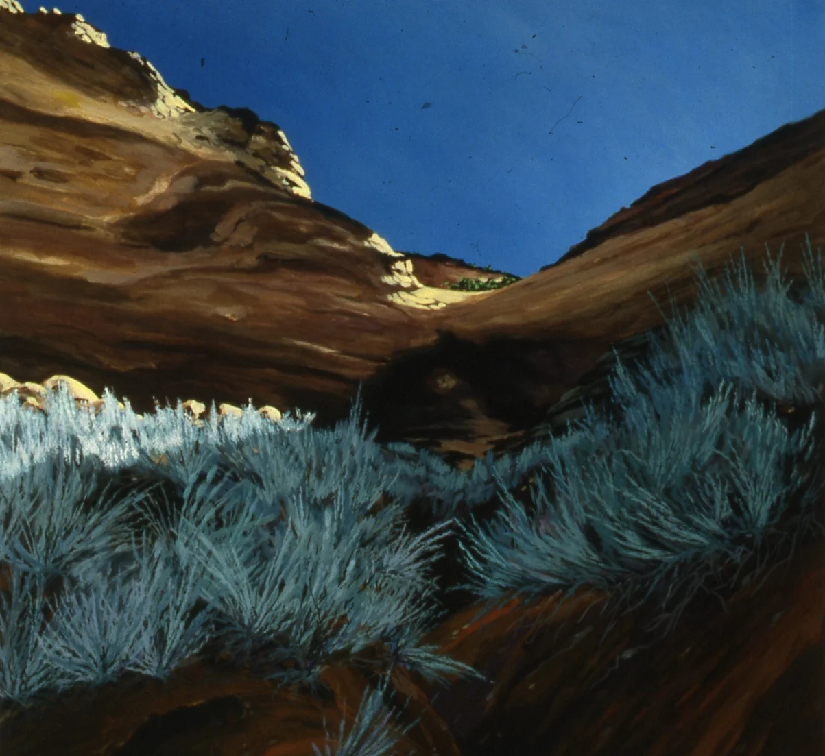 portfolio021-001.jpg