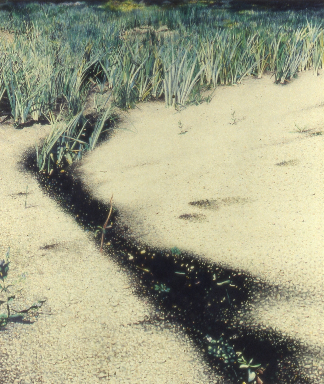 portfolio040-001.jpg