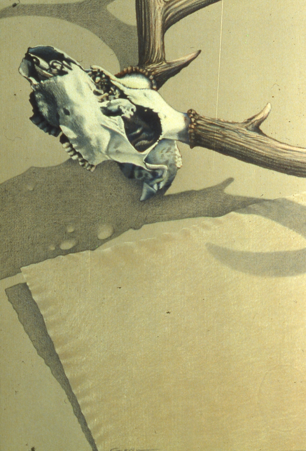 portfolio058-001.jpg