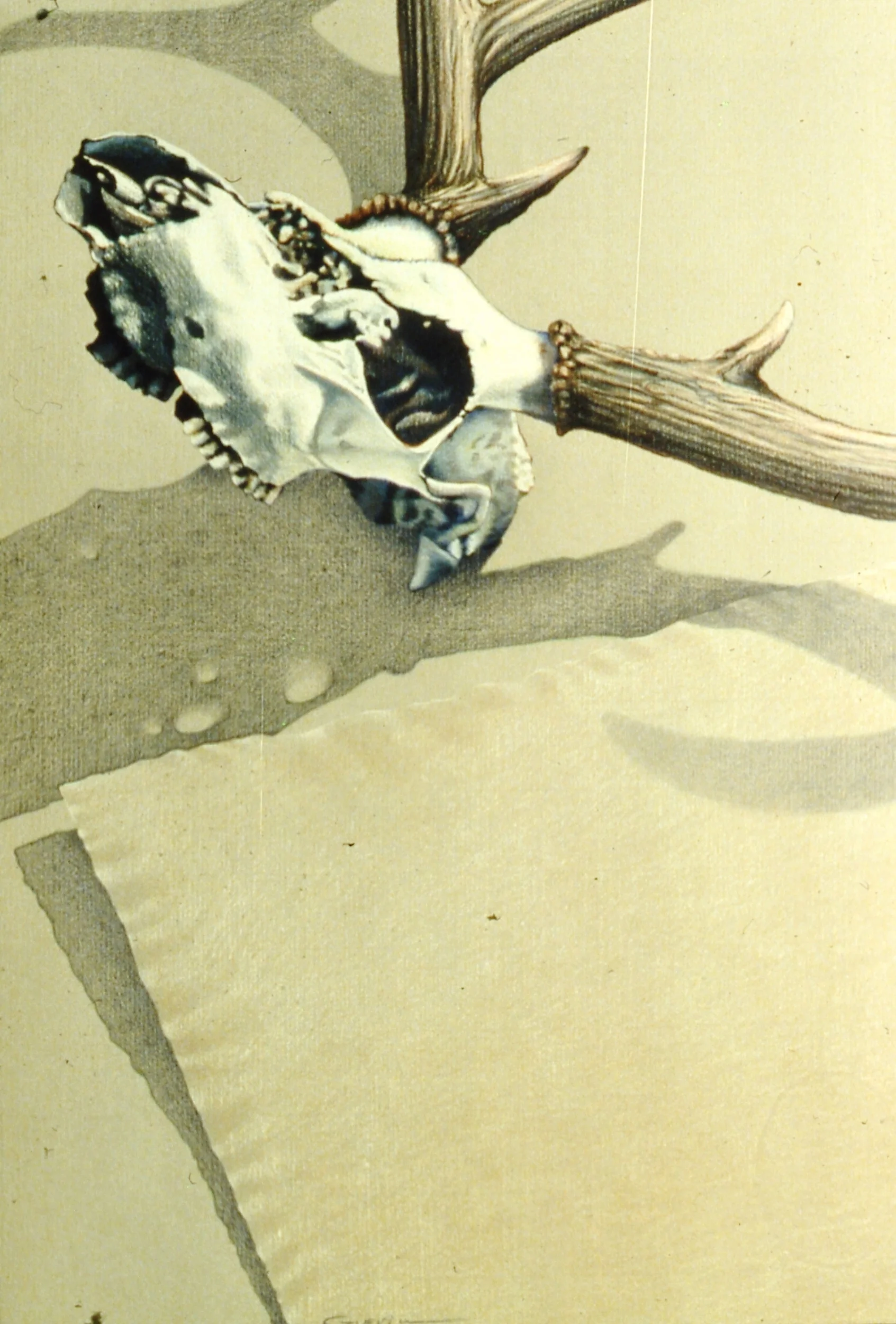 portfolio058-001.jpg