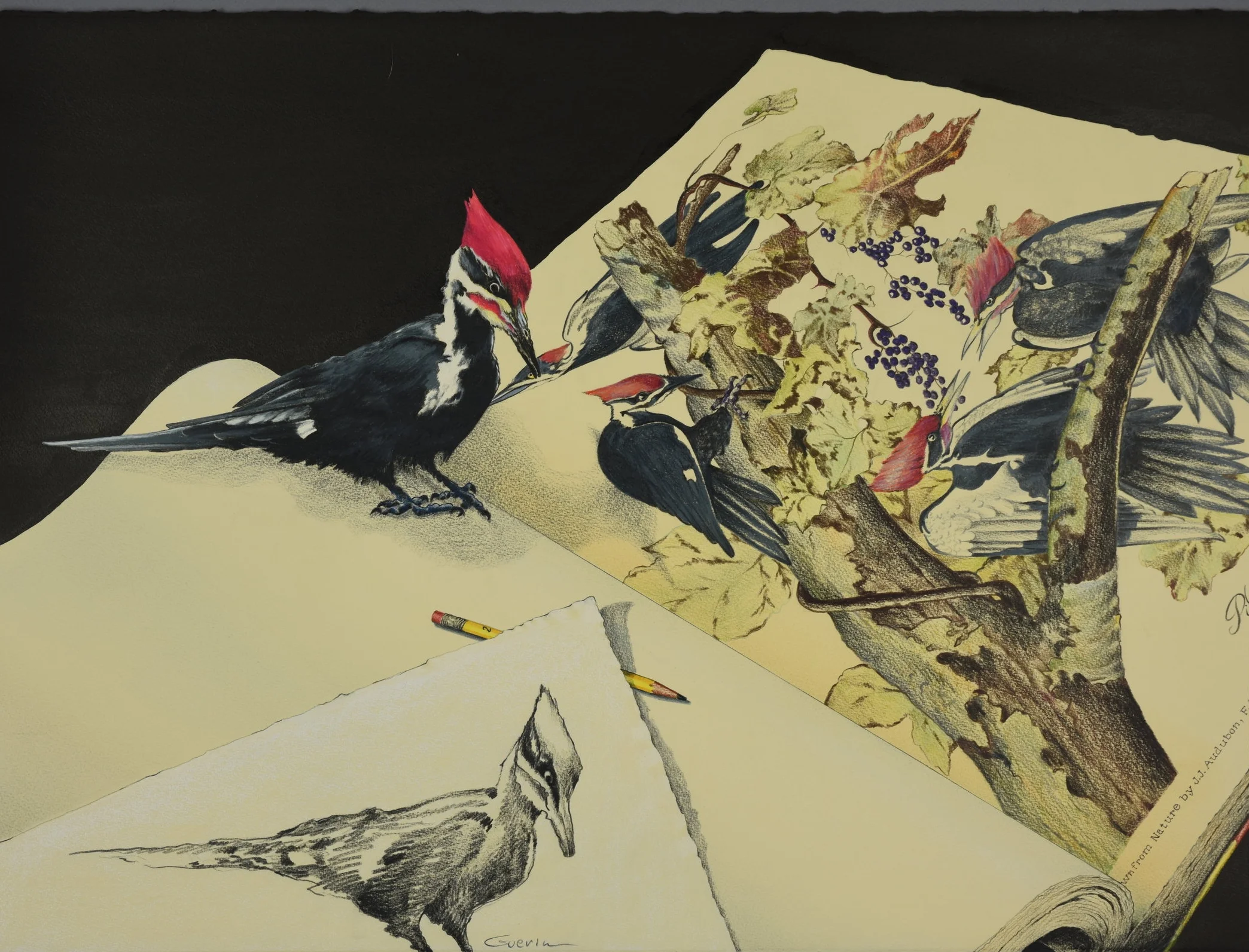 Pileated Yellow by Charles Guerin