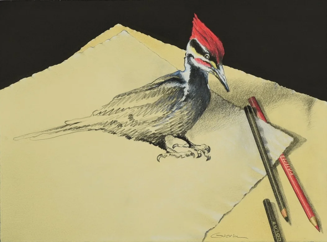Pileated Pigmalian by Charles Guerin