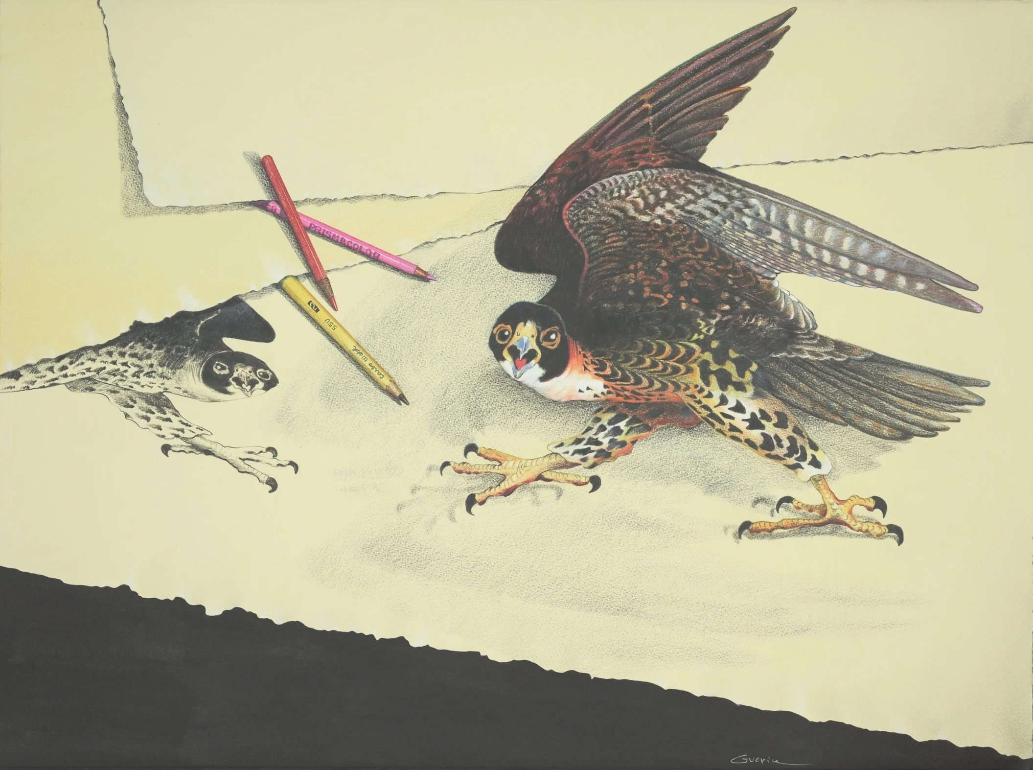 Hawk Landed by Charles Guerin