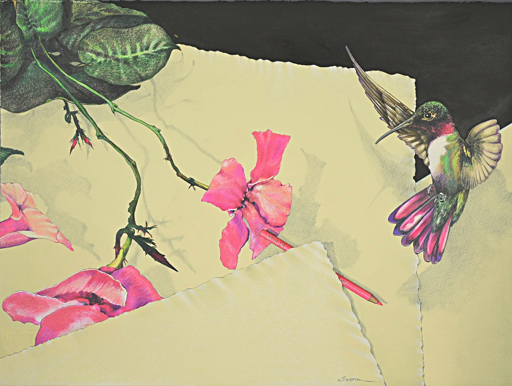 Hummingbird and Mandevilla by Charles Guerin