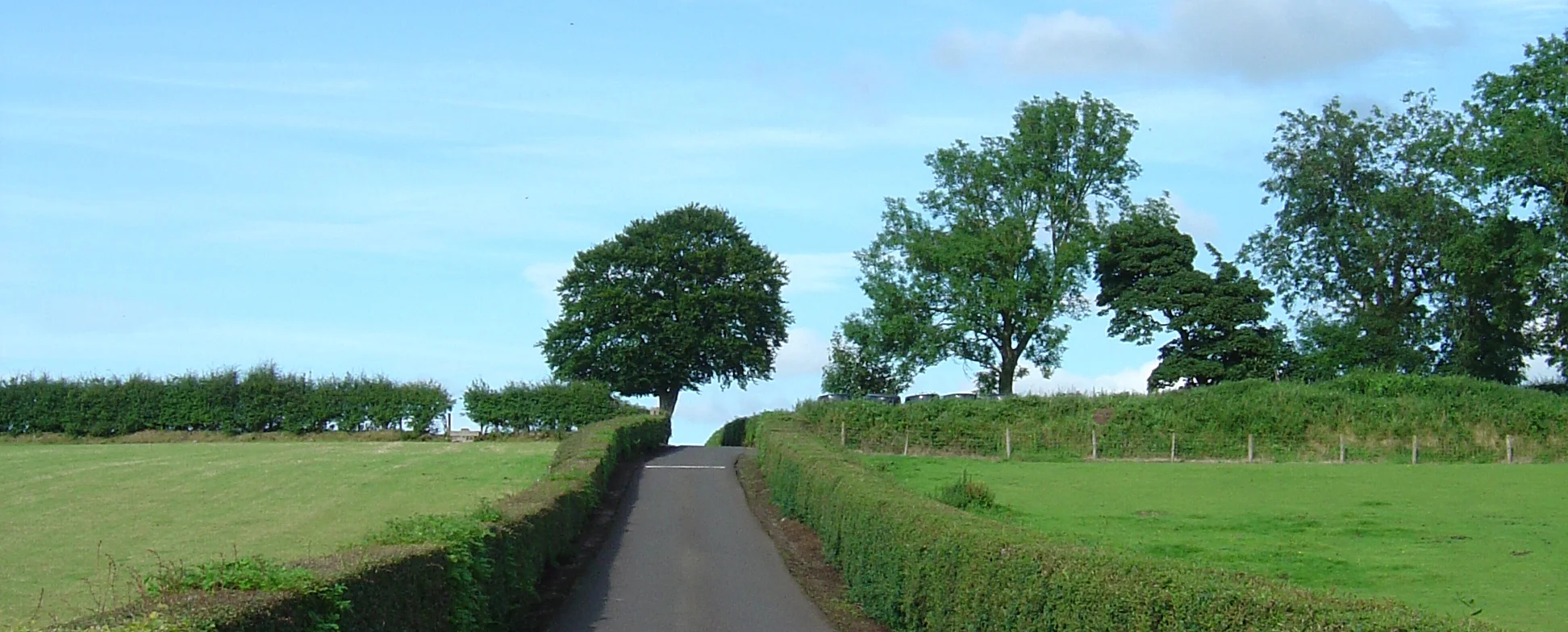 Lane 007.jpg