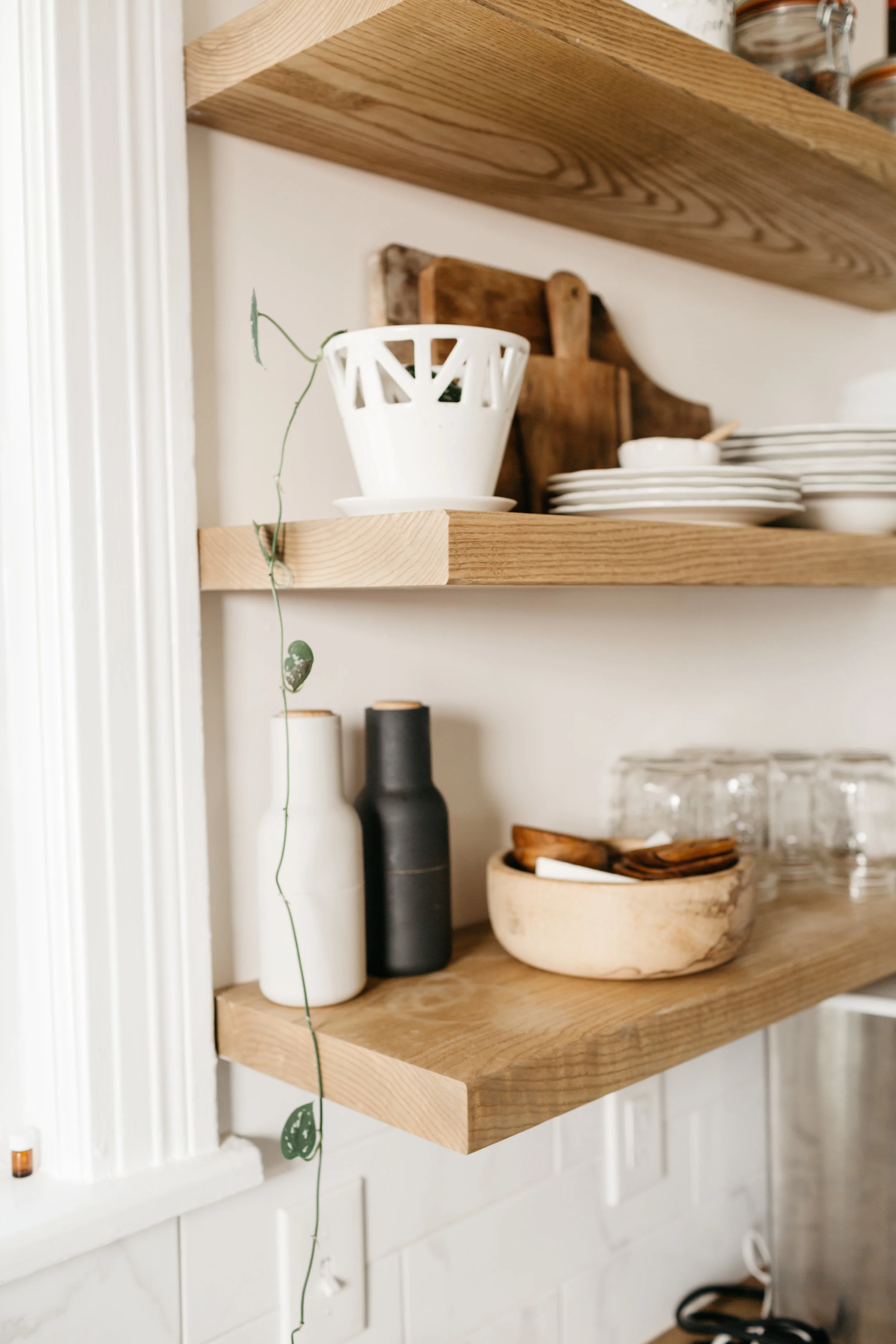 CONVIVIAL - Small Tabletop Planter w/ Philodendron