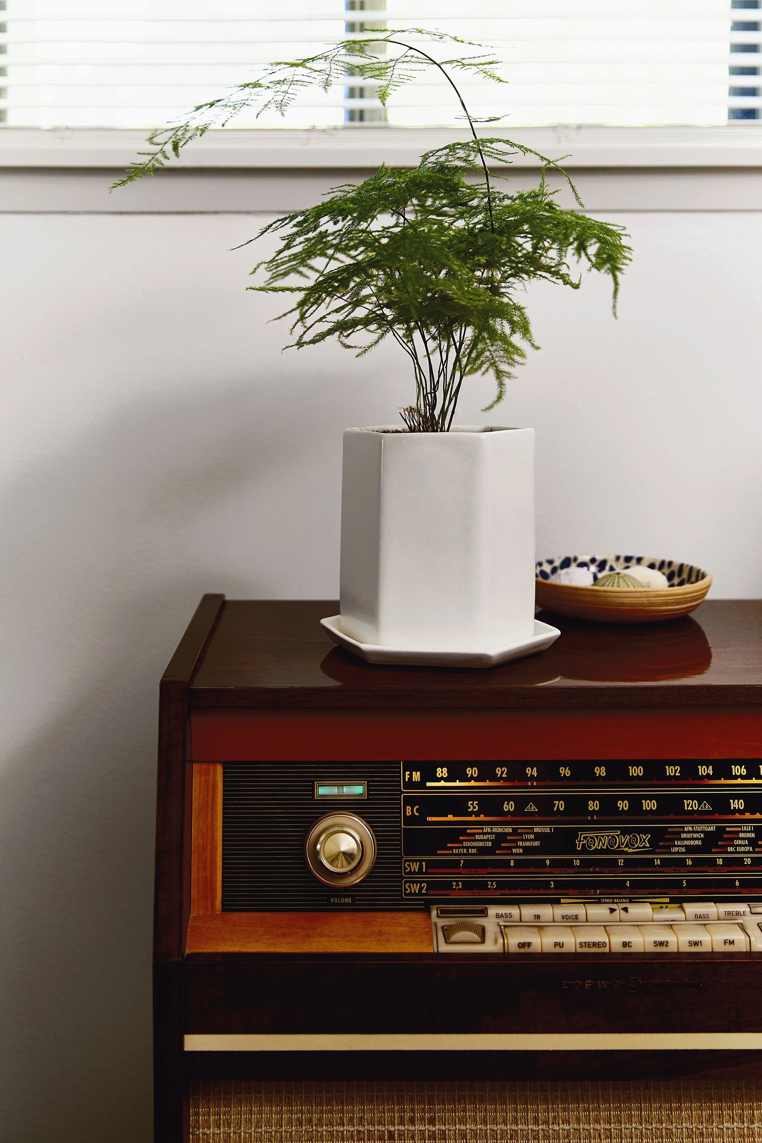 CONVIVIAL - Large Hexagon Planter (design now only available in small)