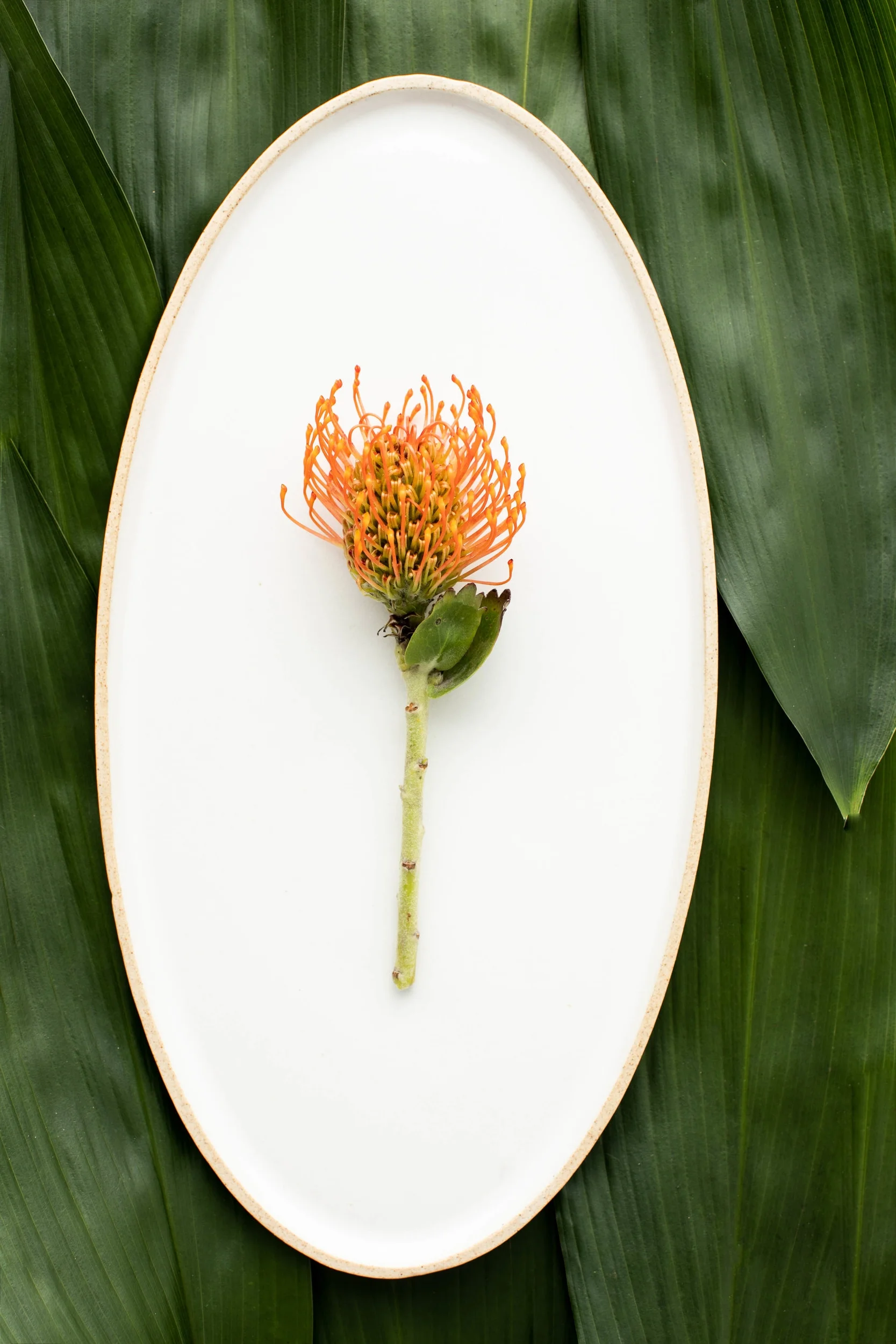 Oval Cheese Tray - SAND