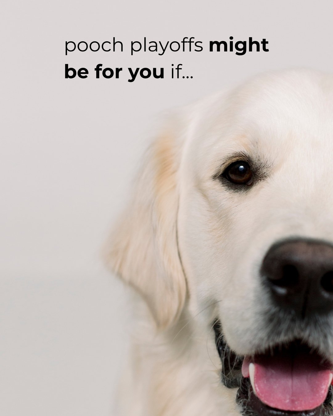 Pooch Playoffs might be for you if.......

🐶 You consider your dog a family member
🐶 You live in West Michigan
🐶 You love a friendly competition
🐶 You believe in "Barking Rights" over bragging rights
🐶 You want to support a brand new l