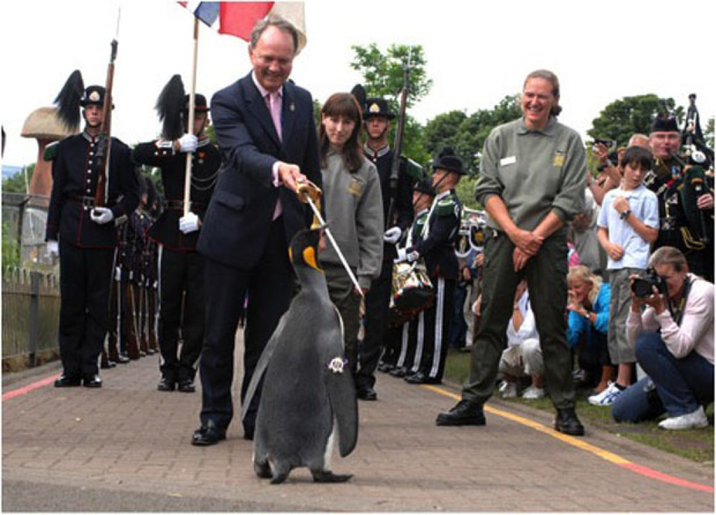 Image Source: http://images.mentalfloss.com/sites/default/files/penguin_knight_0.jpg?resize=1100x740 
