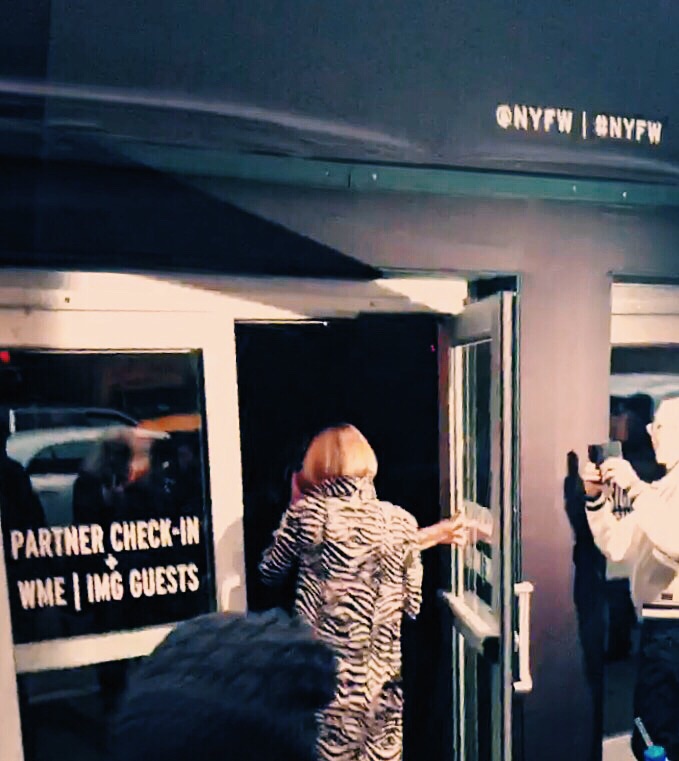 Anna Wintour, VOGUE Editor in Chief 