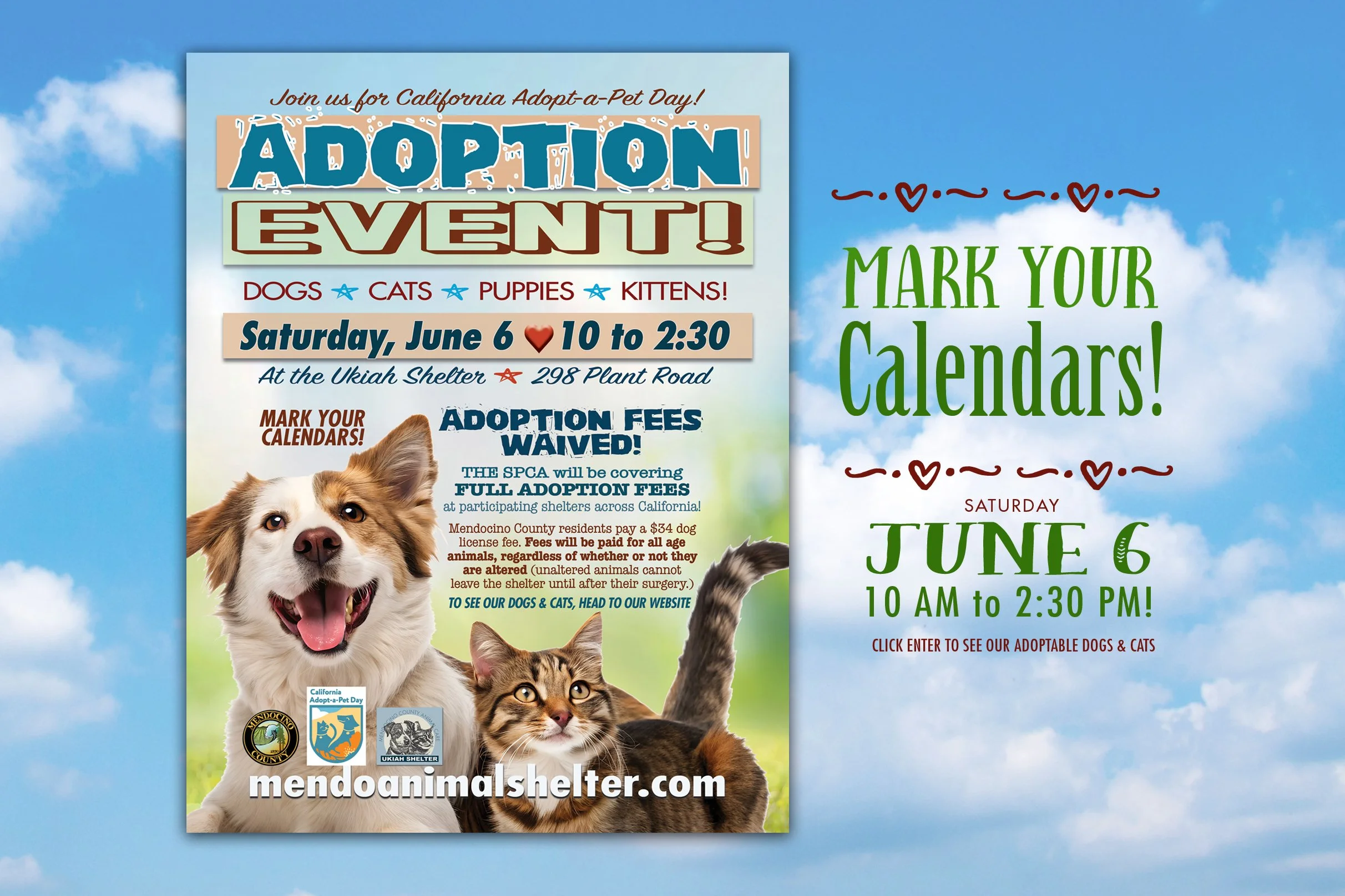 adopt-event-SPCA-6626.jpg