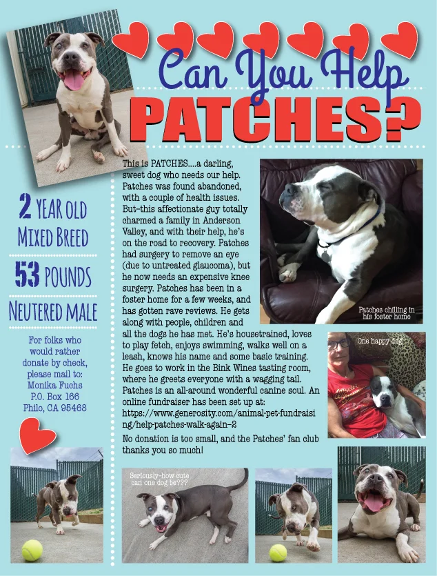 Patches-fundraiser.jpg