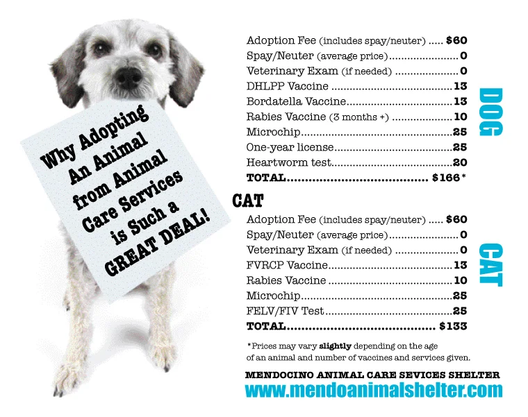 spca adoption prices