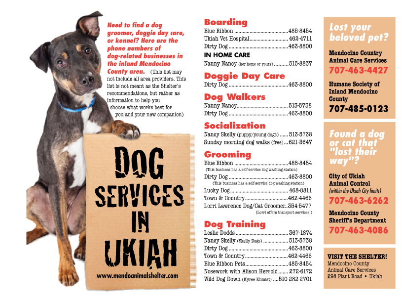 dog services