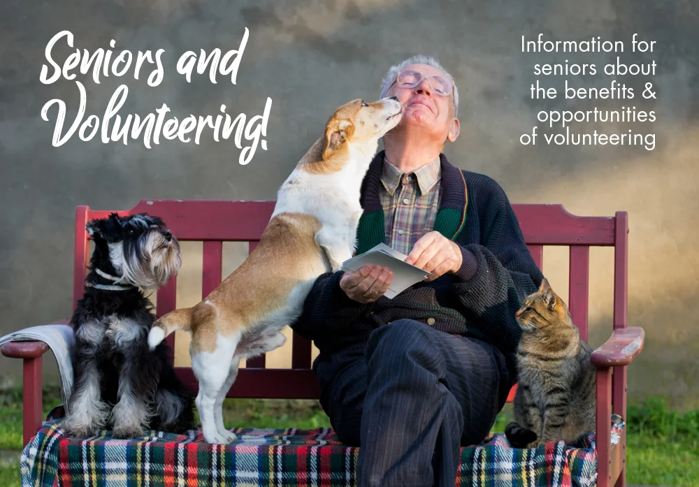 seniors-&-volunteering-graphic.jpg