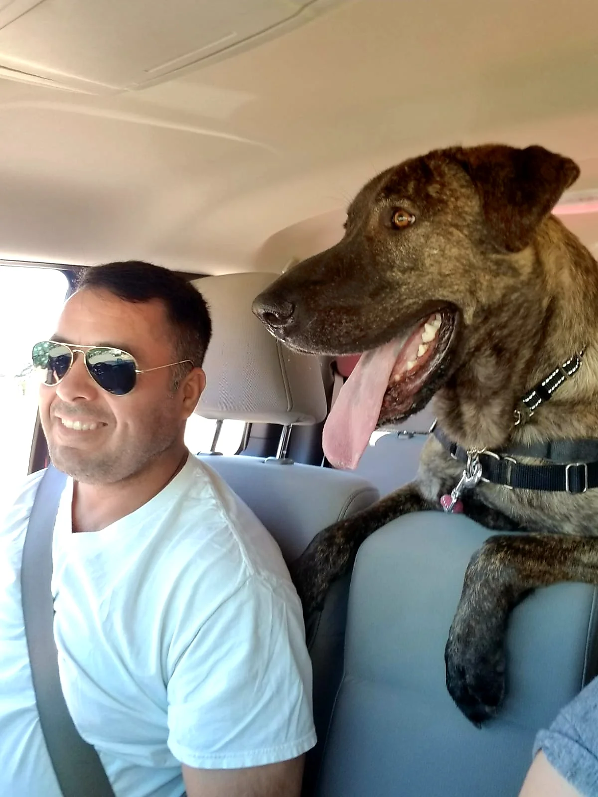 Juice starts his day adventure on a Fido Field Trip. Who looks happier Juice or his human companion?