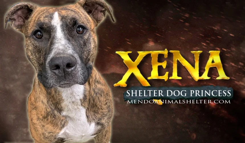 xena-photoshopped.jpg