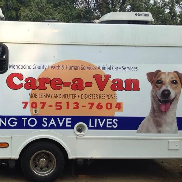 pet care mendocino