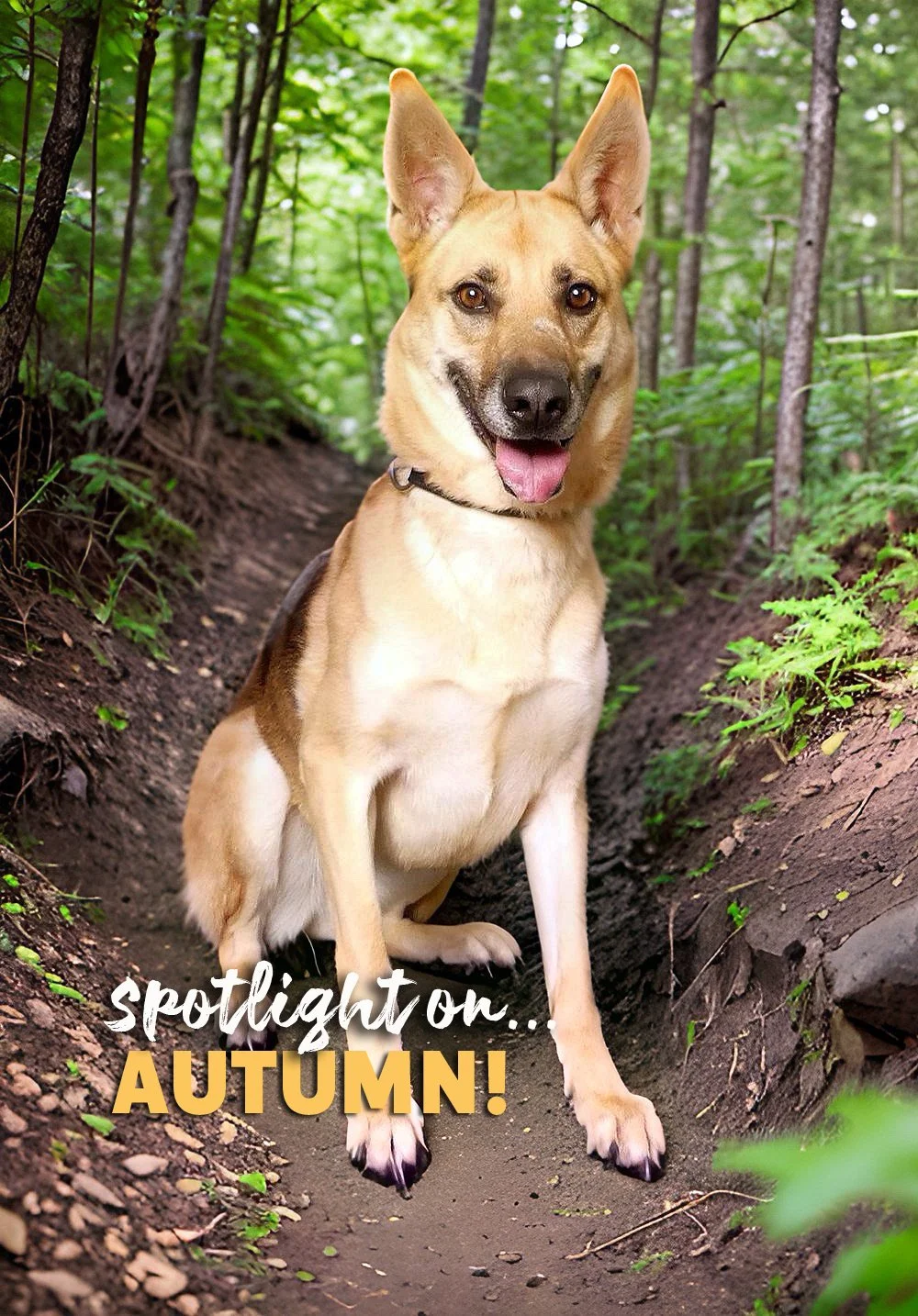 AUTUMN-POW-MV.jpg
